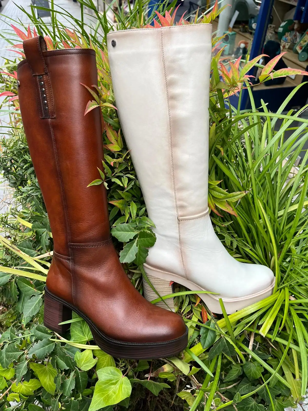 Margotine Chaussures Magasin De Chaussures Laval Chaussures Femmes 2